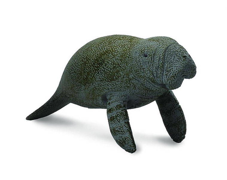 CollectA Medium Manatee Calf Swimming