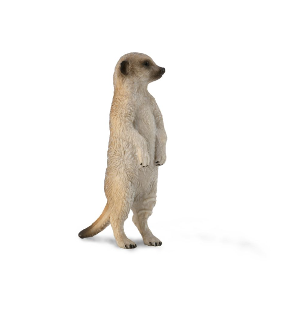 CollectA Small Meerkat Standing