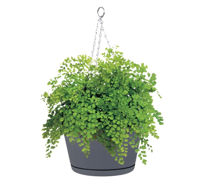 Décor Evergreen Pot Hanging, 284mm, Pewter