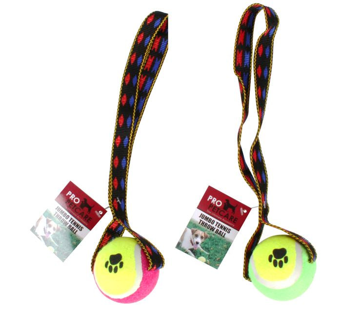 Pet Tennis Throw Ball