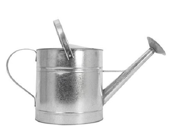 McGregor's 10L Galvanised Watering Can
