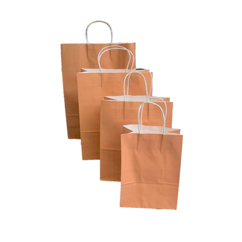 Paper Bag, Large With White Handle