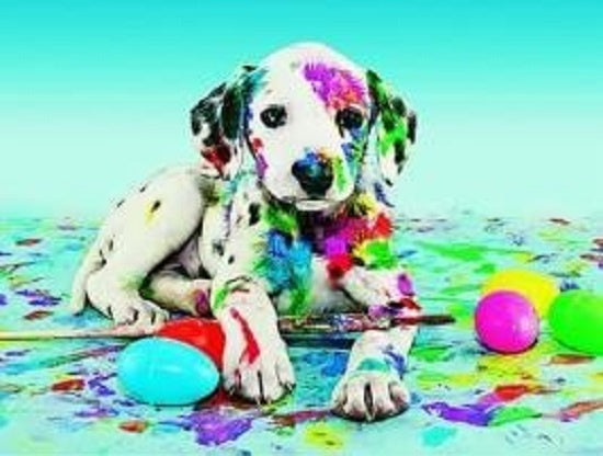 5d Diamond Art Colourful Dog