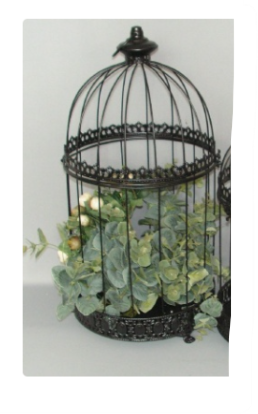 Plant Cage 28x59