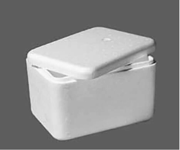 Polystyrene Chilly Bin 6 Litre