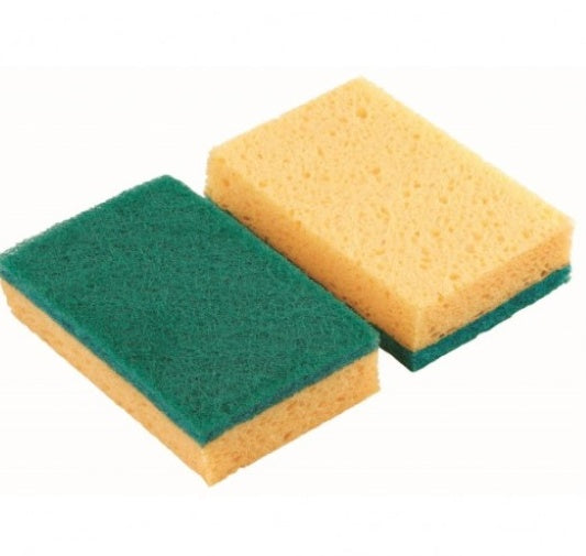 Sponge Scourer, Pack of Two