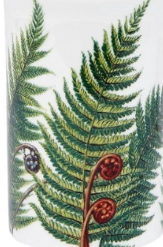 Travel Mug Flowers Of NZ - Fern