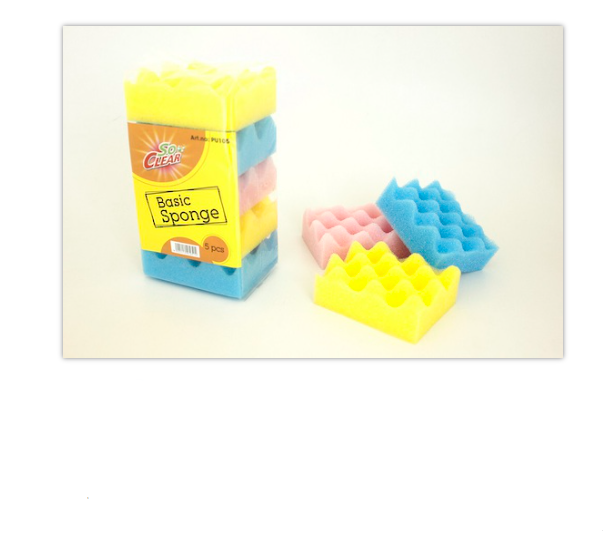 Basic 5pc Dishwash Sponge