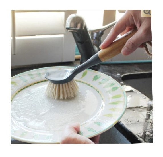 Eco Basics Dish Brush